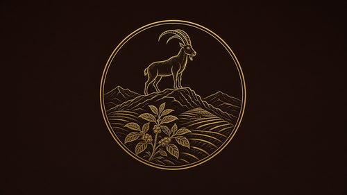 Haraaz gold emblem — ibex and highland terraces
